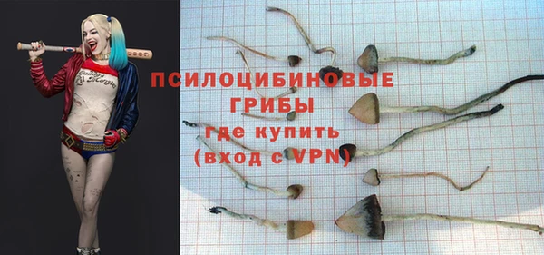 альфа пвп Надым