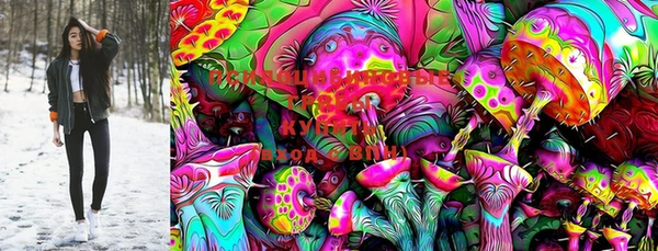 PSILOCYBIN Армянск