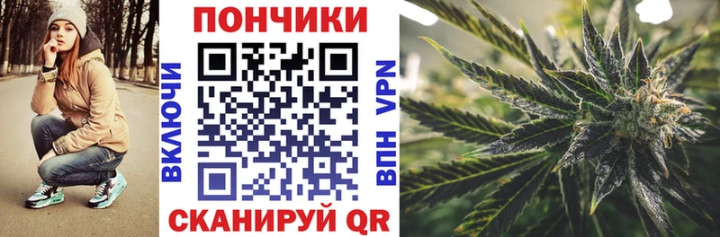 Бошки Шишки гибрид  Шахунья 